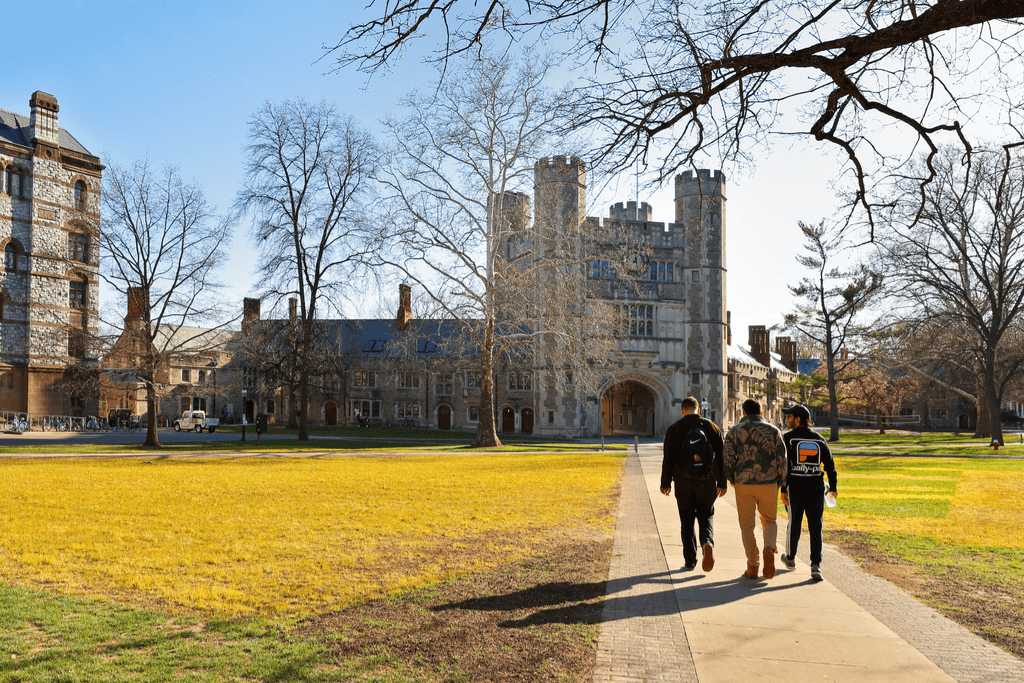 Should University Students Undergo Background Checks?